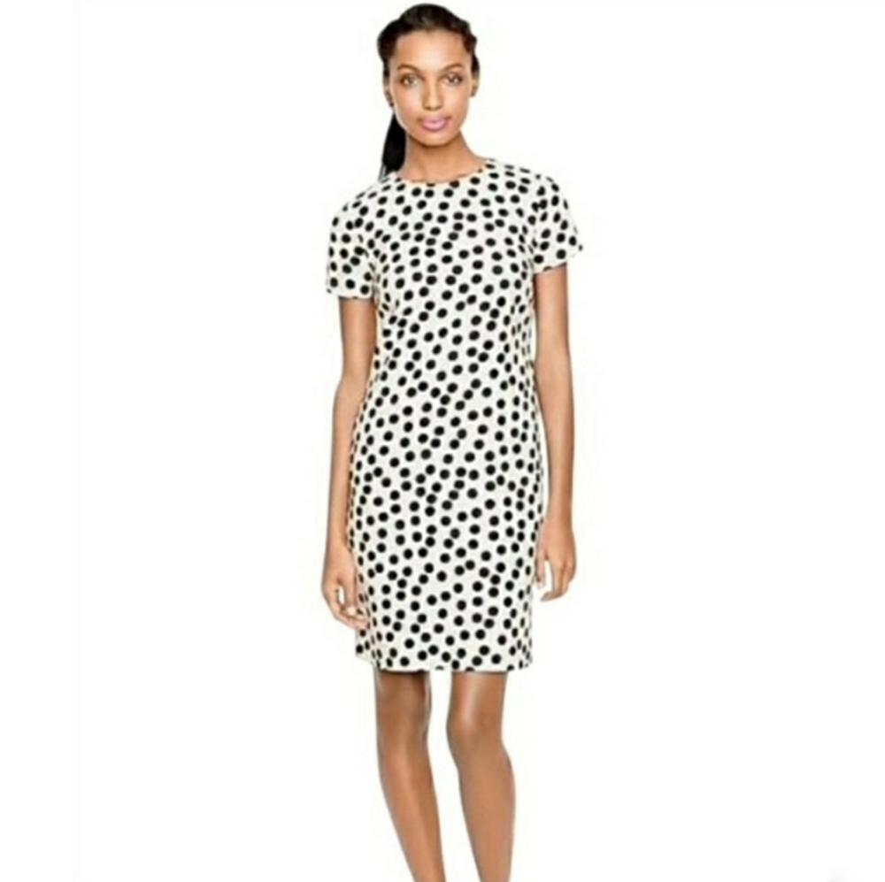 J. Crew Factory Polka Dot Gallery Dress - Picture 7 of 7